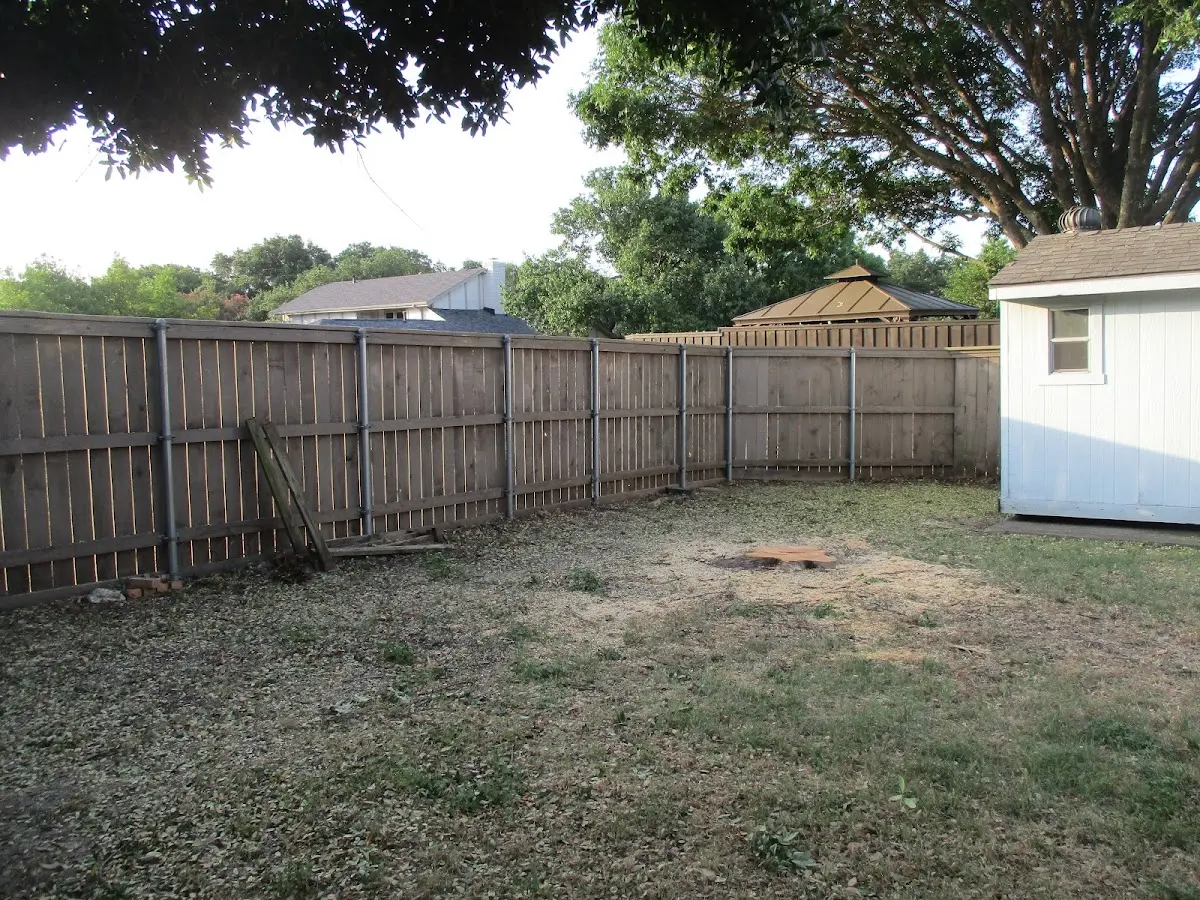 Cleared yard after professional tree removal in Humboldt