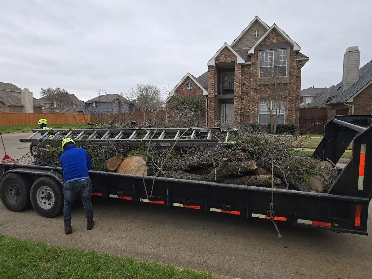 Expert Tree Pest Control with proper safety equipment in Humboldt